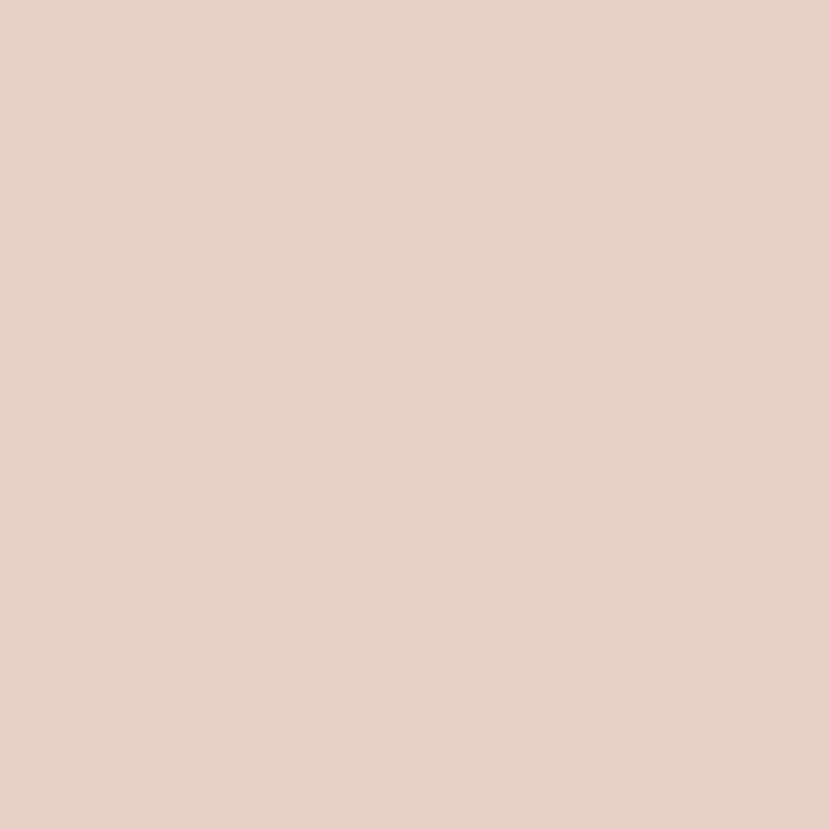 Rose Accent 1177